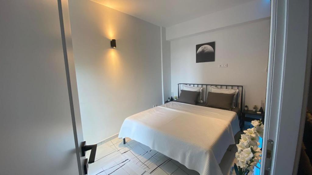 Q Luxury Apartment - Palas Center Jászvásár Kültér fotó